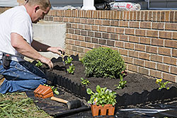 Lawn Care Newport, RI